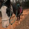 oliviawalker496
